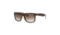 16861 SUNGLASSES