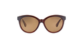 Serengeti 22838 Womens Round SUNGLASSES - Brown