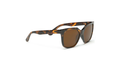 Serengeti 22093 Womens Square SUNGLASSES - Tortoise Shell