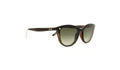 Snob Milano 23178 Womens Round Optical Frames - Tortoise Shell