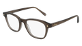 Multi-brand BR0087O-004 Mens RECTANGULAR / SQUARED Optical Frame - Brown