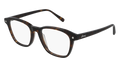 Multi-brand BR0087O-006 Mens RECTANGULAR / SQUARED Optical Frame - Havana