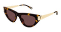 Chloe CH0350S-003 Womens CAT EYE Sunglasses - Havana
