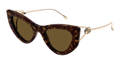 Gucci GG1565S-002 Womens Cat Eye SUNGLASSES - Havana