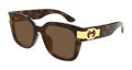 Gucci GG1690SK-002 Womens RECTANGULAR / SQUARED Sunglasses - Havana