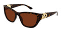Gucci GG2122S-003 Womens CAT EYE Sunglasses - Havana