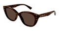 Gucci GG1588S-002 Womens CAT EYE Sunglasses - Havana
