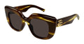 Gucci GG2030S-003 Womens RECTANGULAR / SQUARED Sunglasses - Havana