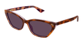 Gucci GG1815S-004 Mens Sunglasses - Havana