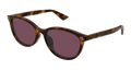 Gucci GG1818SK-002 Womens Sunglasses - Havana
