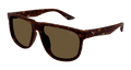Puma PU0441S-002 Mens ROUND/OVAL/PANTHOS Sunglasses - Havana
