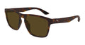 Puma PU0505S-002 Mens RECTANGULAR / SQUARED Sunglasses - Havana