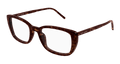 Saint Laurent SL 776-006 Womens Optical Frame - Havana